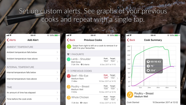 MEATER® Smart Meat Thermometer