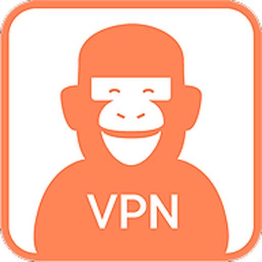 킹콩 VPN