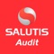 Icon SALUTIS Audit