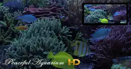 Game screenshot Peaceful Aquarium HD mod apk