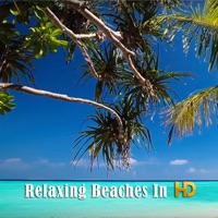 Relaxing Beaches In HD apk