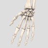 Hand Score