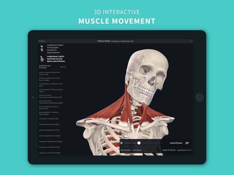 Complete Anatomy 2022 screenshot-0