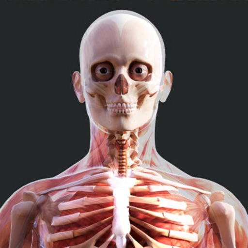Human Anatomy 4D-Mixed Reality iOS App