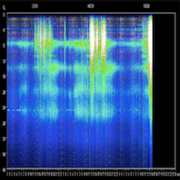 Schumann Resonance