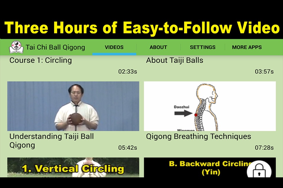 Tai Chi Ball Qigong screenshot 2