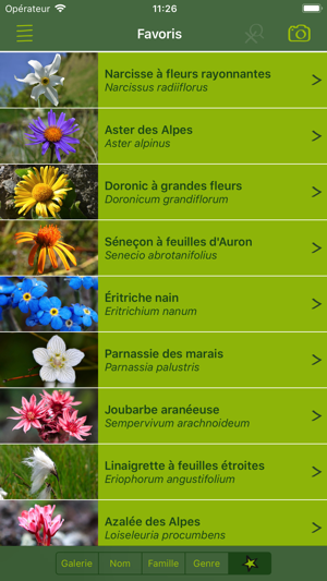 Field Guide Alpine Flower Discover The Flora Of The Alps And The Rocky Mountains