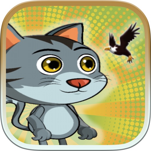 City Cat Running Street iOS App