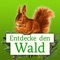 Die Waldfibel ist eine Liebeserklärung an den Wald