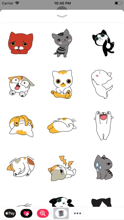 Funny Cat Cute Stickers
