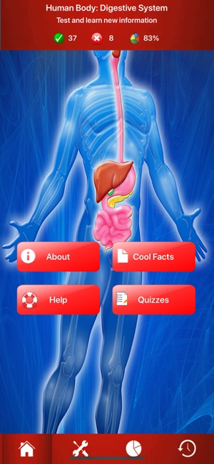 Digestive System Trivia