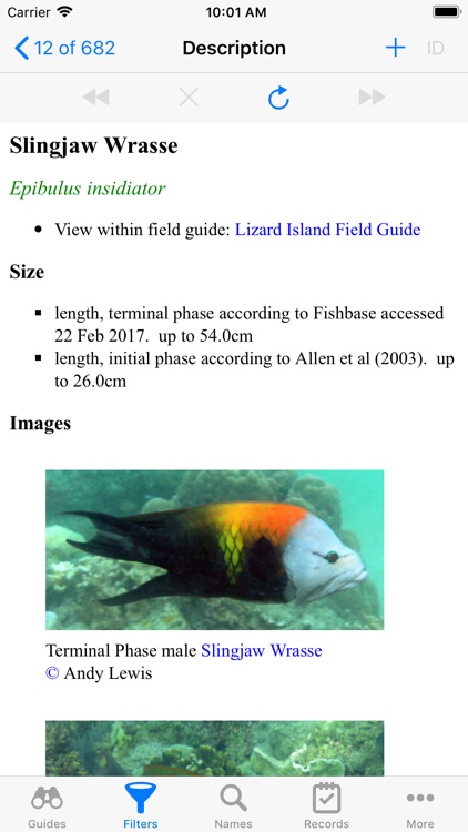 Lizard Island screenshot-3