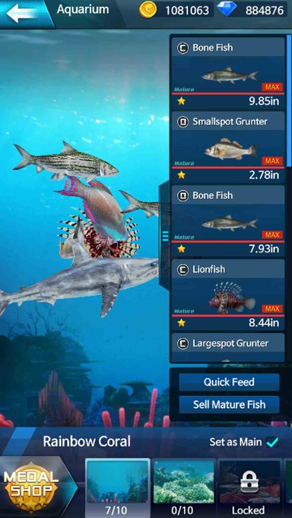 Fishing Championship screenshot-7