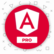 Learn Angular v12+ Coding PRO