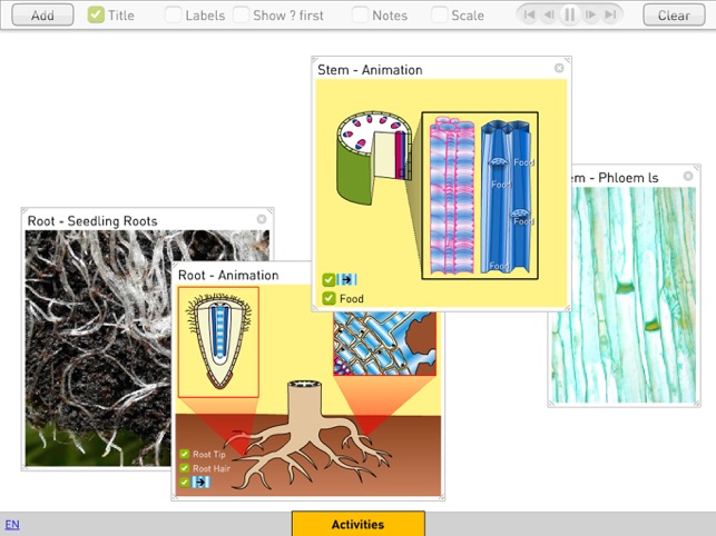 Plants(圖3)-速報App