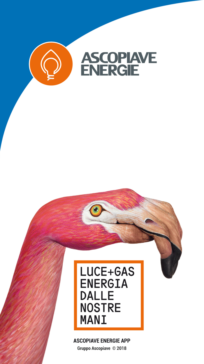 AscopiaveEnergie App gas luce