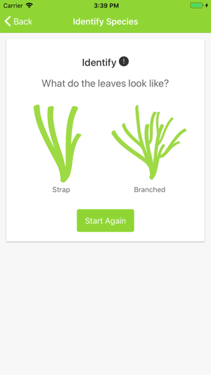 Seagrass Spotter(圖2)-速報App