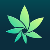 HiGrade: Cannabis Testing - MyCrops Technologies Ltd.