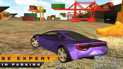 Luxury Car Driving: Multi Park image #1