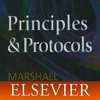 On Call Principles  Protocols