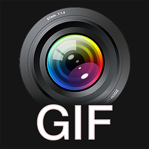 Video to GIF - GIF Maker