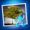 Make it rain with this photo effects app