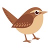 Birder.ai