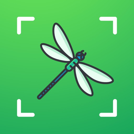 Get Bug identifier - Spider, Worm for iOS, iPhone, iPad Aso Report
