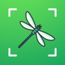 Get Bug identifier - Spider, Worm for iOS, iPhone, iPad Aso Report