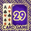 29 Card Game * PLUS