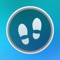 This is Simplest Pedometer Widget