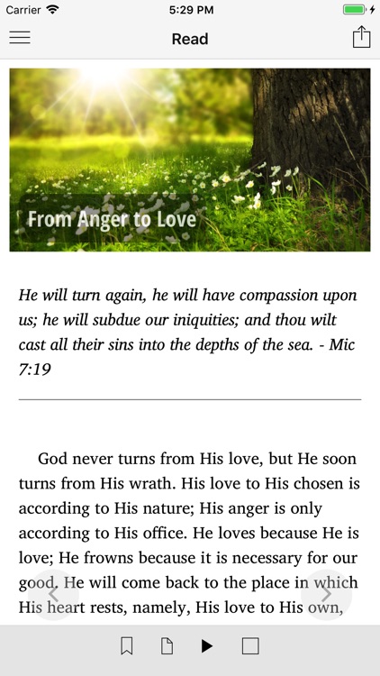 Daily Faith's Checkbook - Lite