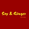 Soy & Ginger Wok Grill