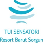 Barut Sorgun