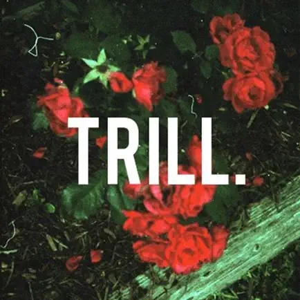 Trill Wallpaper HD Читы