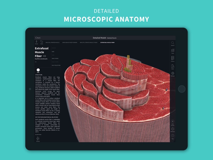 Complete Anatomy 2022 screenshot-3