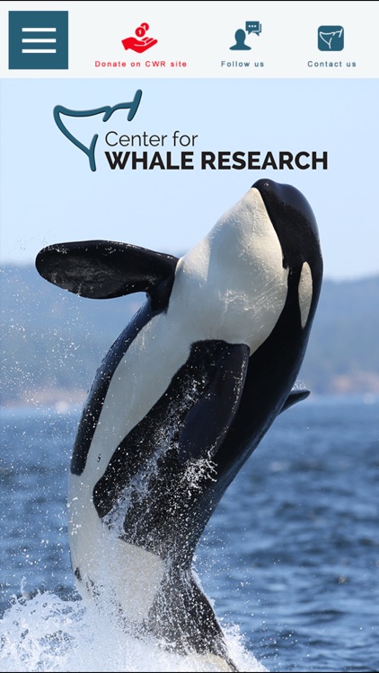 Center for Whale Research