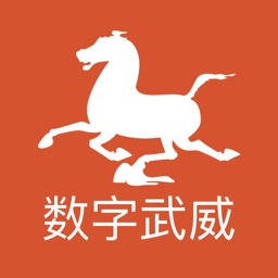 数字武威