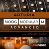 Advanced Moog Modular V Course