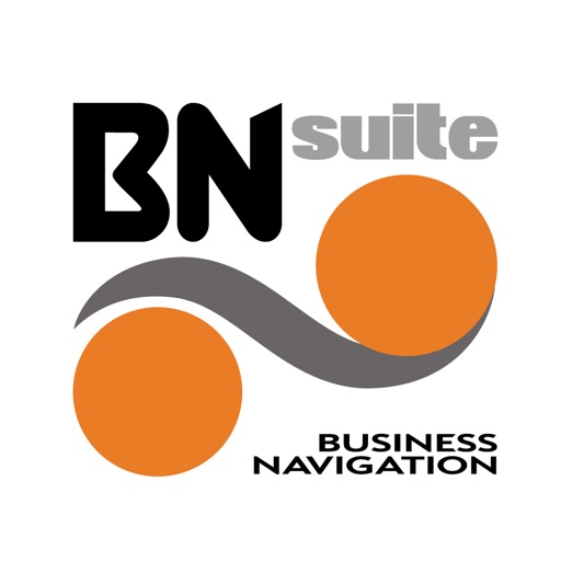 BNsuite