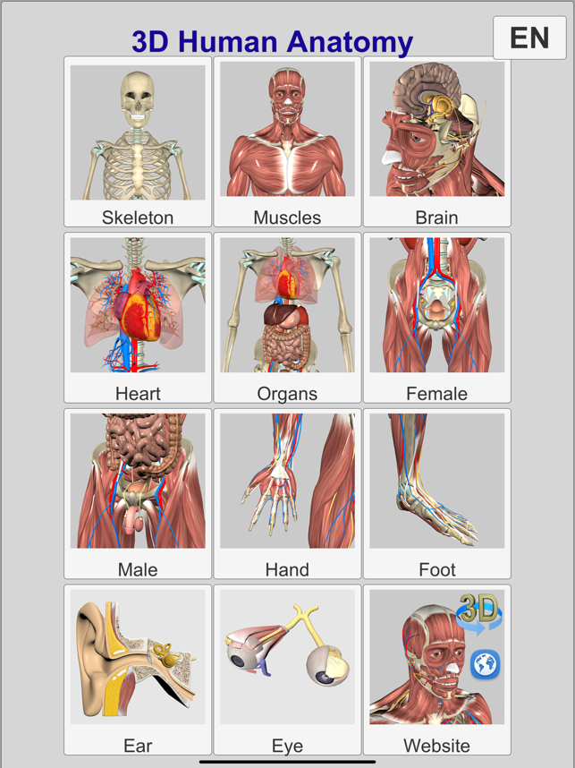 ‎3D Anatomi Ekran Görüntüsü