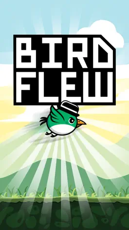 Game screenshot Bird Flew - Its Contagious! mod apk