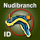 Top 36 Reference Apps Like Nudibranch ID Australia NZ - Best Alternatives