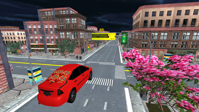 City Pizza Delivery Car Drive screenshot 4