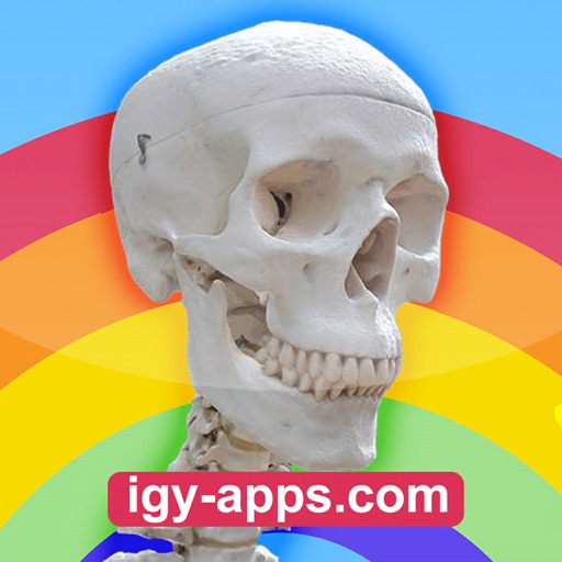 Anatomy AR 4D