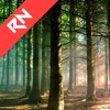 Relax Nature: Forest