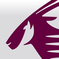 Qatar Airways на пк