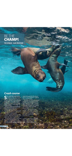 DIVER MAGAZINE(圖4)-速報App