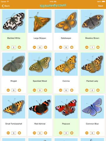 Big Butterfly Count screenshot 3