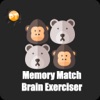 Icon Memory Match Brain Exerciser